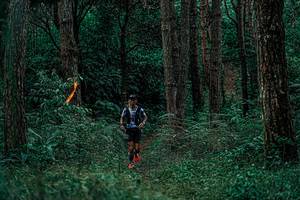 BIB: 
                            <button type="button" onclick="openModal(25236171)" class="btn btn-primary btn-sm float-right btn-popup" data-toggle="modal" data-target=".modal-high-quality">
                        <i class="fas fa-shopping-cart"></i> Add to Cart
                    </button>
                                            <button type="button" onclick="isThisMe(25236171, true)" class="btn btn-success btn-sm float-right btn-popup btn-isme hidden" data-toggle="tooltip" data-placement="bottom" title="นี่คือรูปของคุณใช่ไหม คลิกที่นี่เพื่อเอาเข้าอัลบั้ม">
                        <i class="fas fa-plus"></i> Add to album
                    </button>
                    <button type="button" onclick="isThisMe(25236171, false)" class="btn btn-warning btn-sm float-right btn-popup btn-isnotme hidden">
                        <i class="fas fa-ban"></i> Remove from album
                    </button>